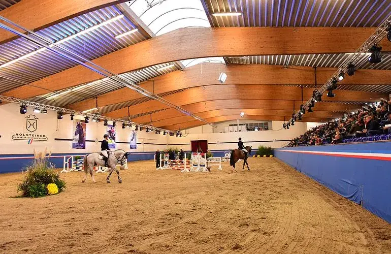 Die Fritz-Thiedemann-Halle in Elmshorn im Veranstaltungsbetrieb: Holzdach, Lichttraversen und voll besetzte Tribüne